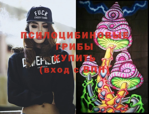 гидра Нея