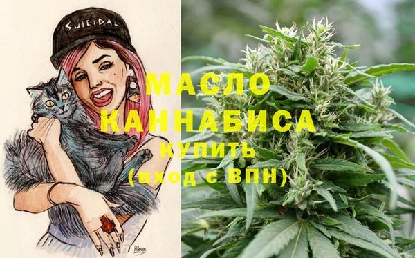 индика Нефтегорск