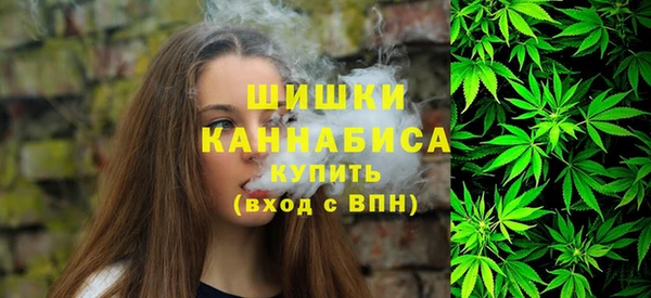 гидра Нея