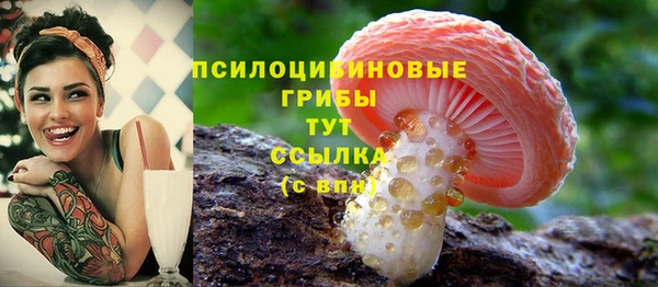 индика Нефтегорск