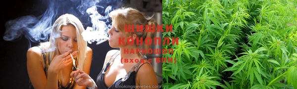 гидра Нея