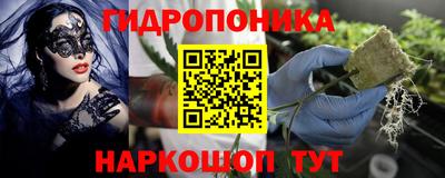 спиды Камышлов