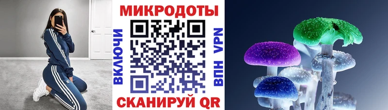 omg как зайти  купить  цена  Комсомольск-на-Амуре  Псилоцибиновые грибы GOLDEN TEACHER 