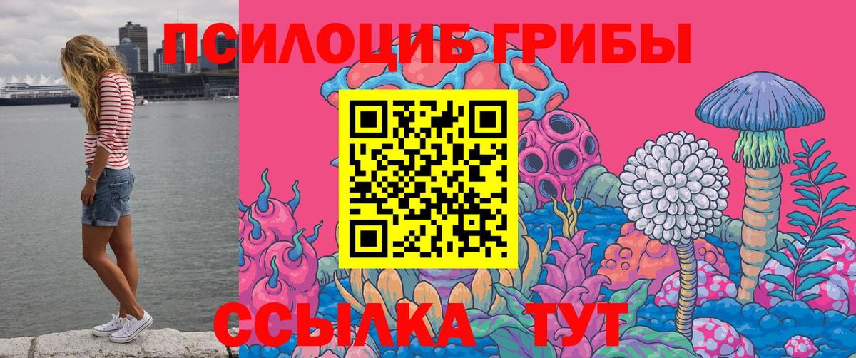 Галлюциногенные грибы Psilocybe  Вход с VPN  Комсомольск-на-Амуре 