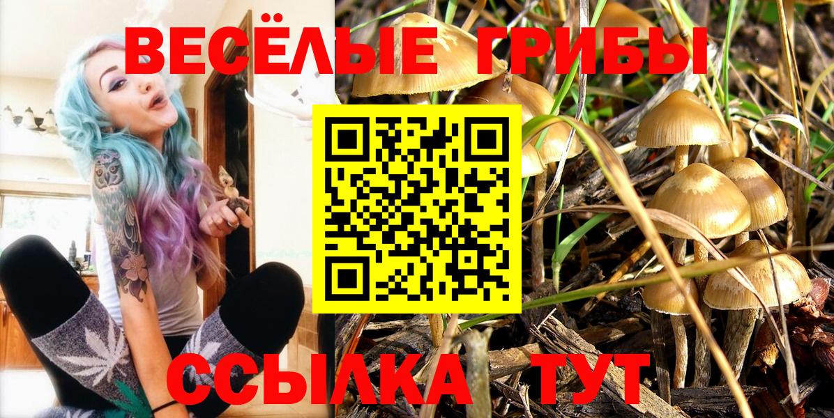 Галлюциногенные грибы GOLDEN TEACHER Комсомольск-на-Амуре