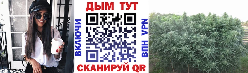 Бошки Шишки сатива  Комсомольск-на-Амуре 